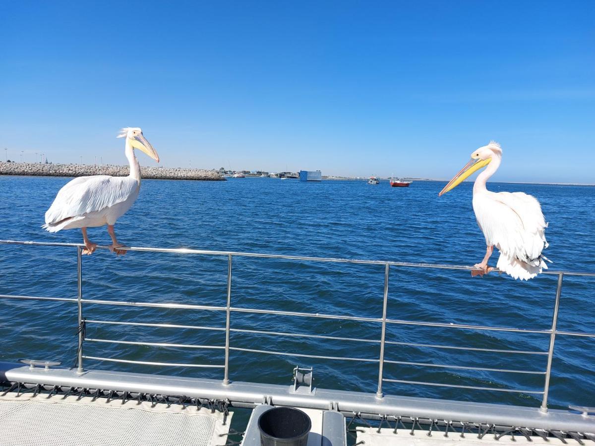 Sunflower Self-Catering Walvis Bay Eksteriør bilde
